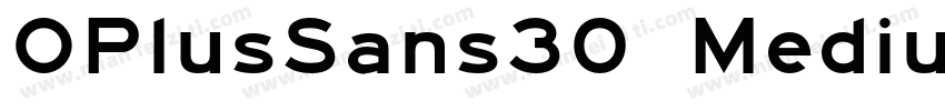 OPlusSans30 MediumV字体转换